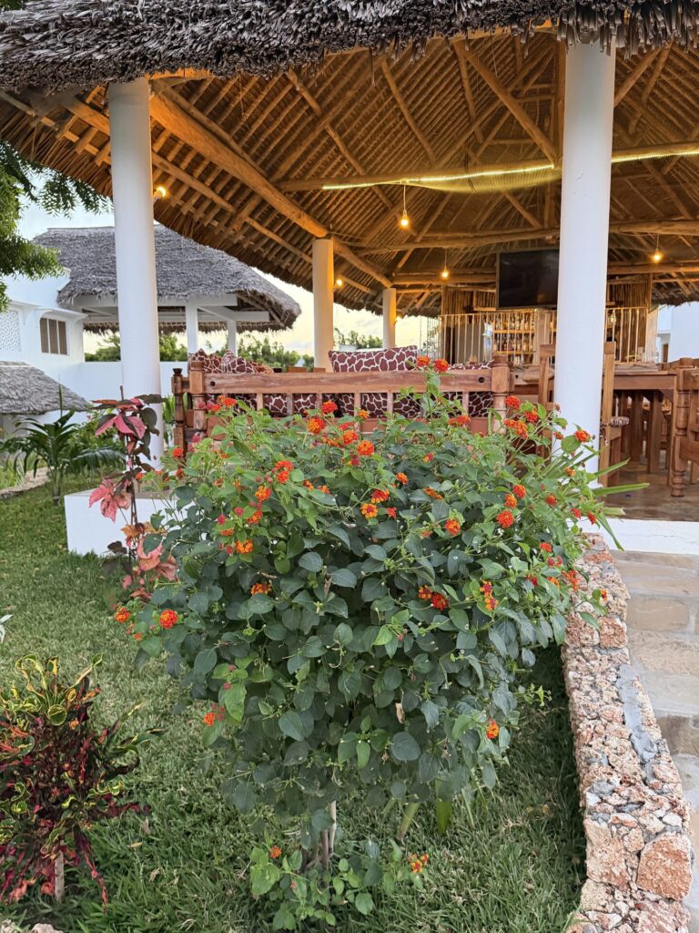 villa verona gardens watamu flowers