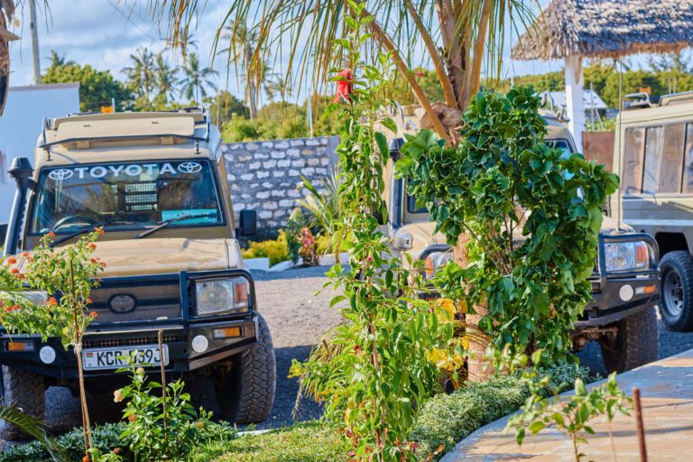 villa verona gardens watamu tour vehicles