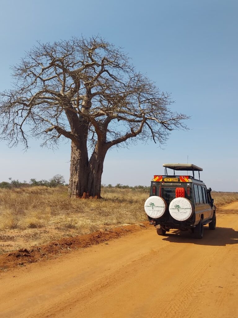villa verona tours game drive