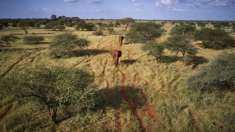 villa verona tours game drive tracking